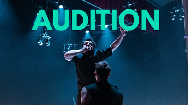 2Faced Dance Full Time, Salaried, Male Company Dance Artists