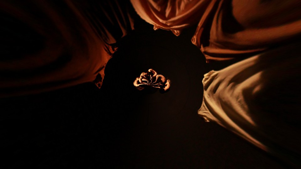 Audition Notice Isil Bicakci