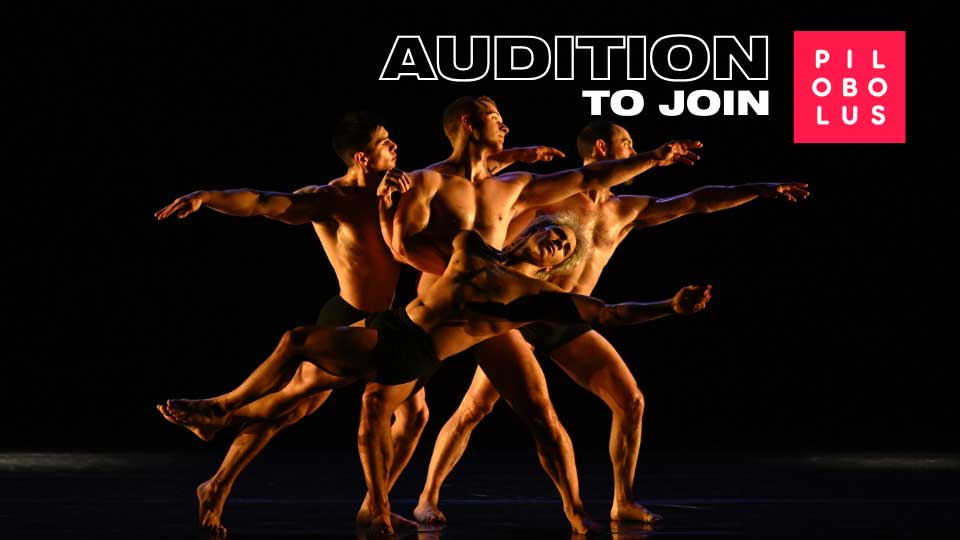 Audition Notice Pilobolus