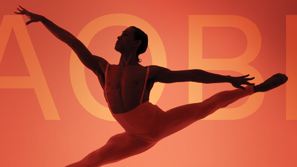 Audition Now! | (AOBI) The Art Of Ballet Intensive In Amsterdam This Summer