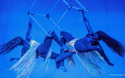 Call for Shows: Hupstate Circus Festival 2026