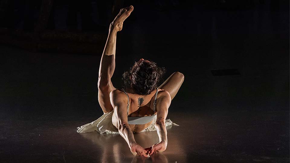 Copenhagen Contemporary Dance School: 3-Year Diploma Programme & 1-Year Post Graduate Programme Programmes