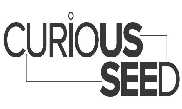 Engagement Artist / Curious Seed