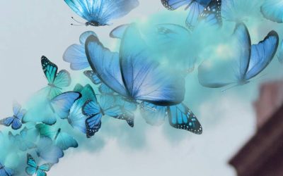 Male Identifying Dancers For Physcial Theatre Production