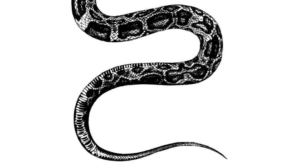 Open Auditions For Short Paid Season (Rochester, NY)