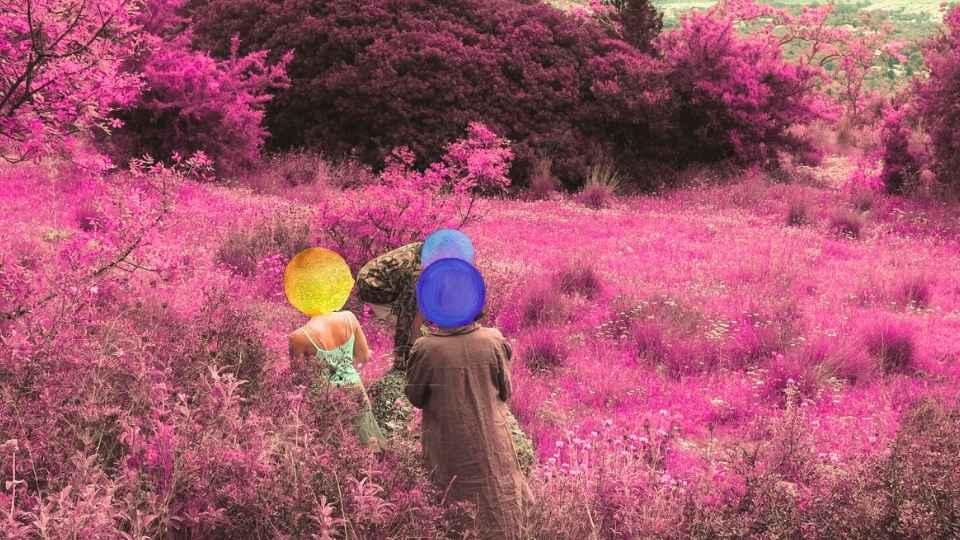 Somatic Movement & Herbalism Residential Workshop At Lefkada Island Greece