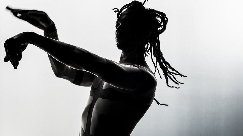 Tavaziva Dance Seek Trustees