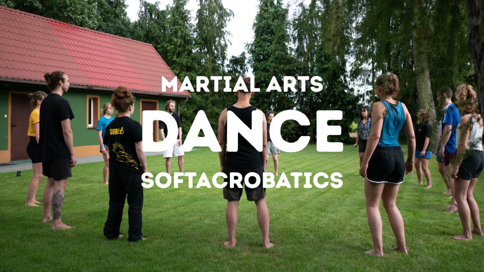 Movement Summer Intensive – Dance, Softacrobatics, Martial Arts