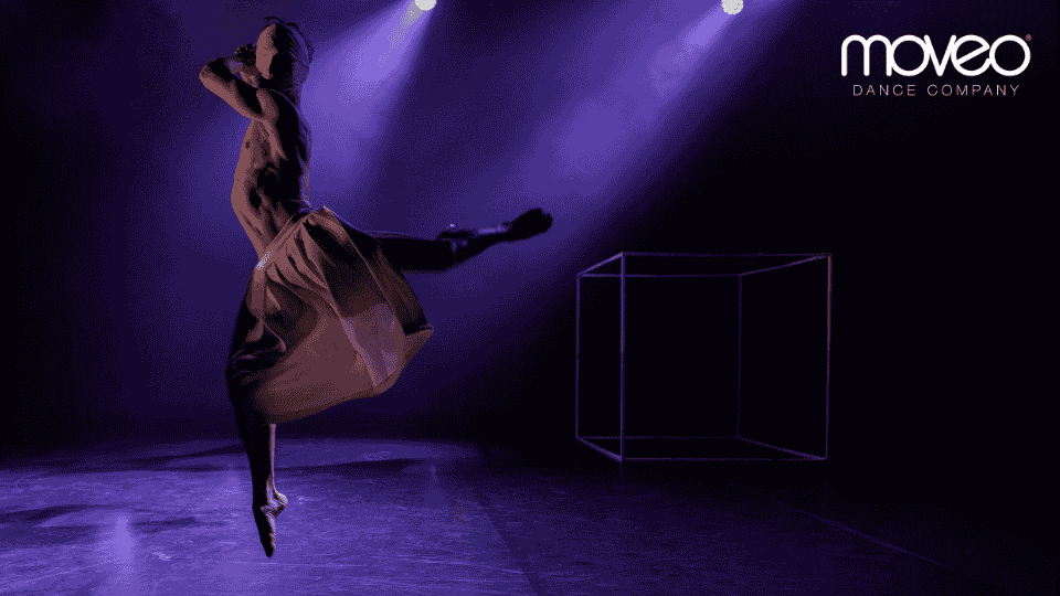 Moveo Dance Company Is Looking For Male Apprentice